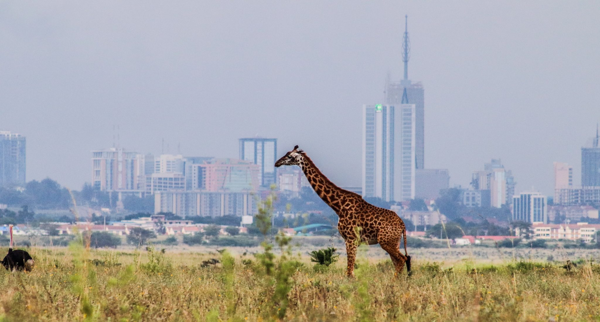 Nairobi 