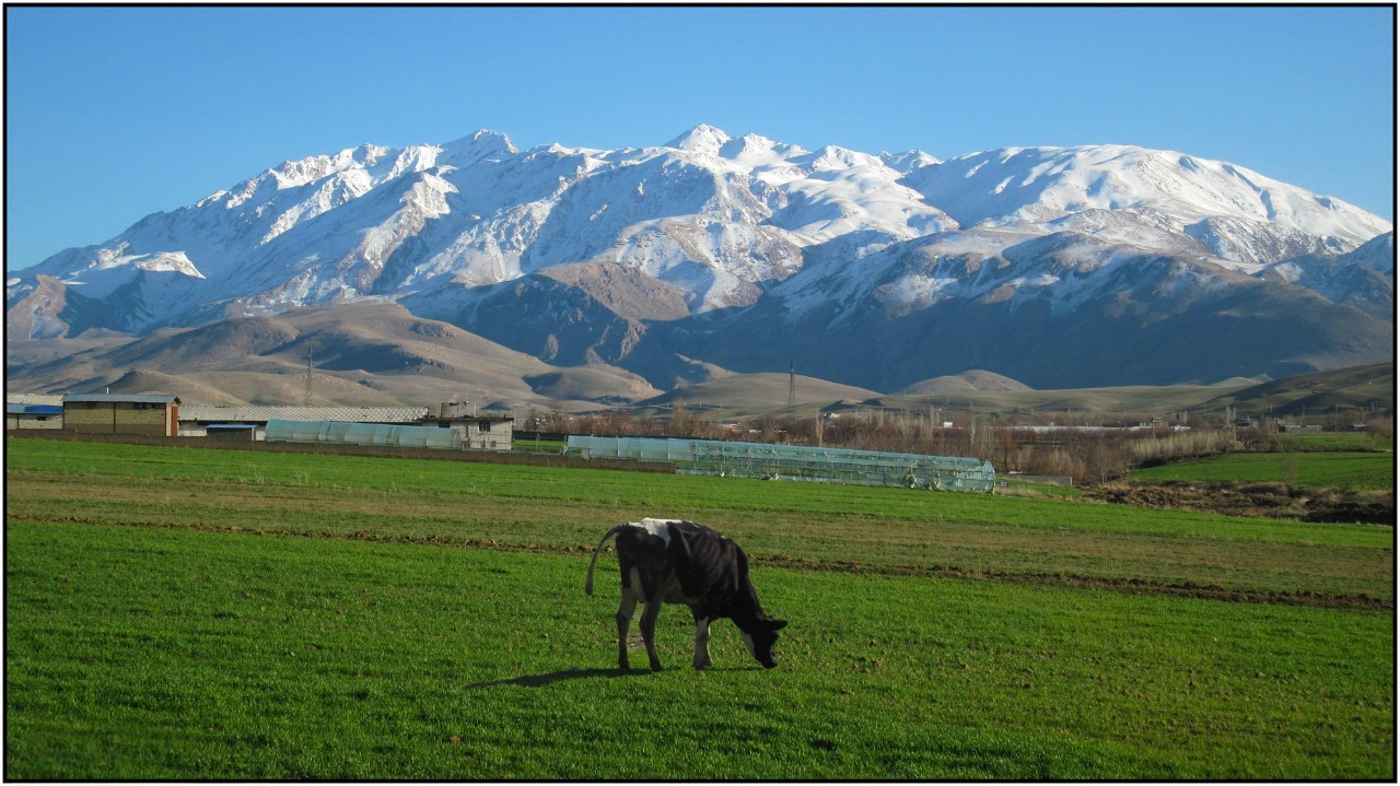 کوه-اشترانکوه