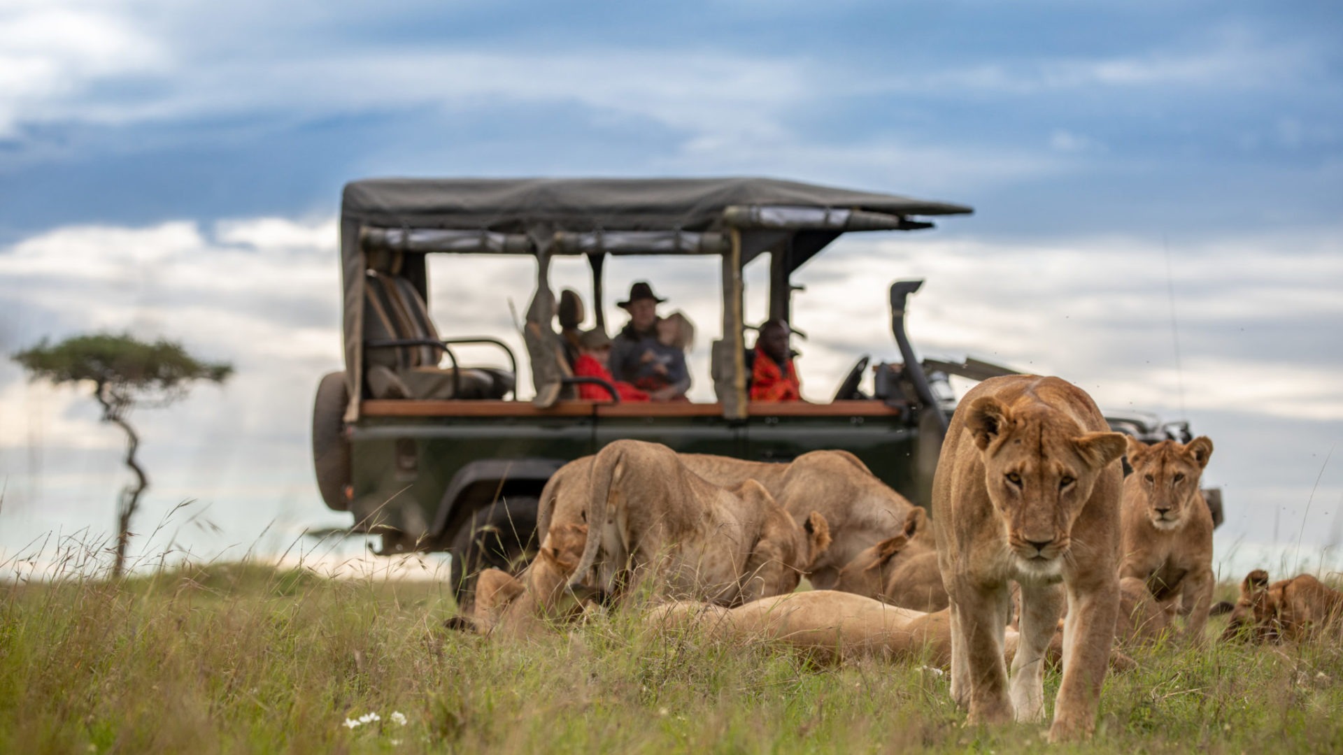 Masai Mara
