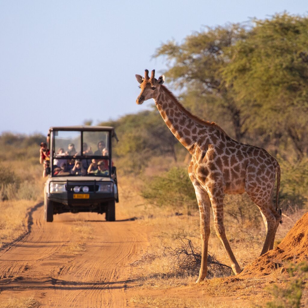 kenya