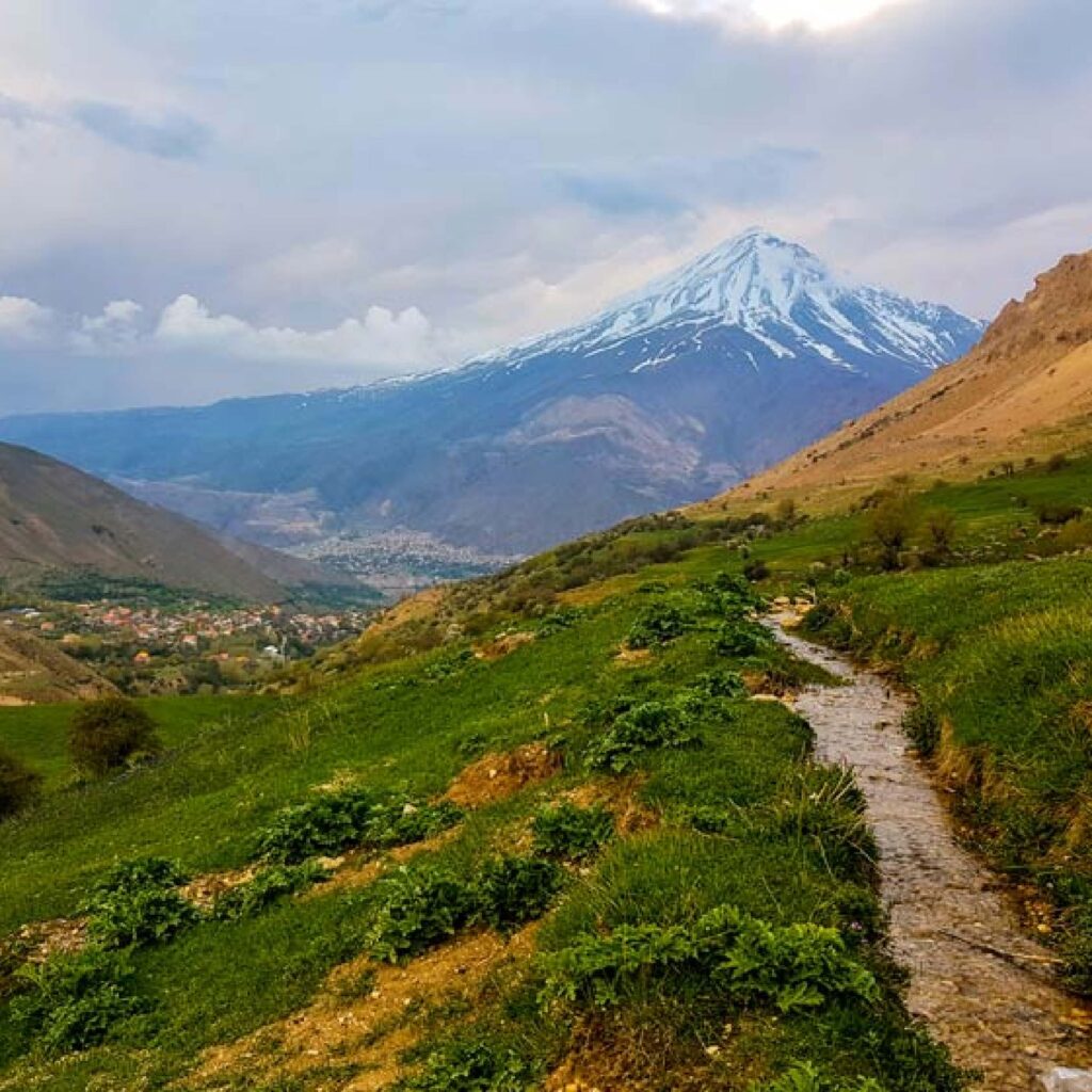 شاخص-آزو