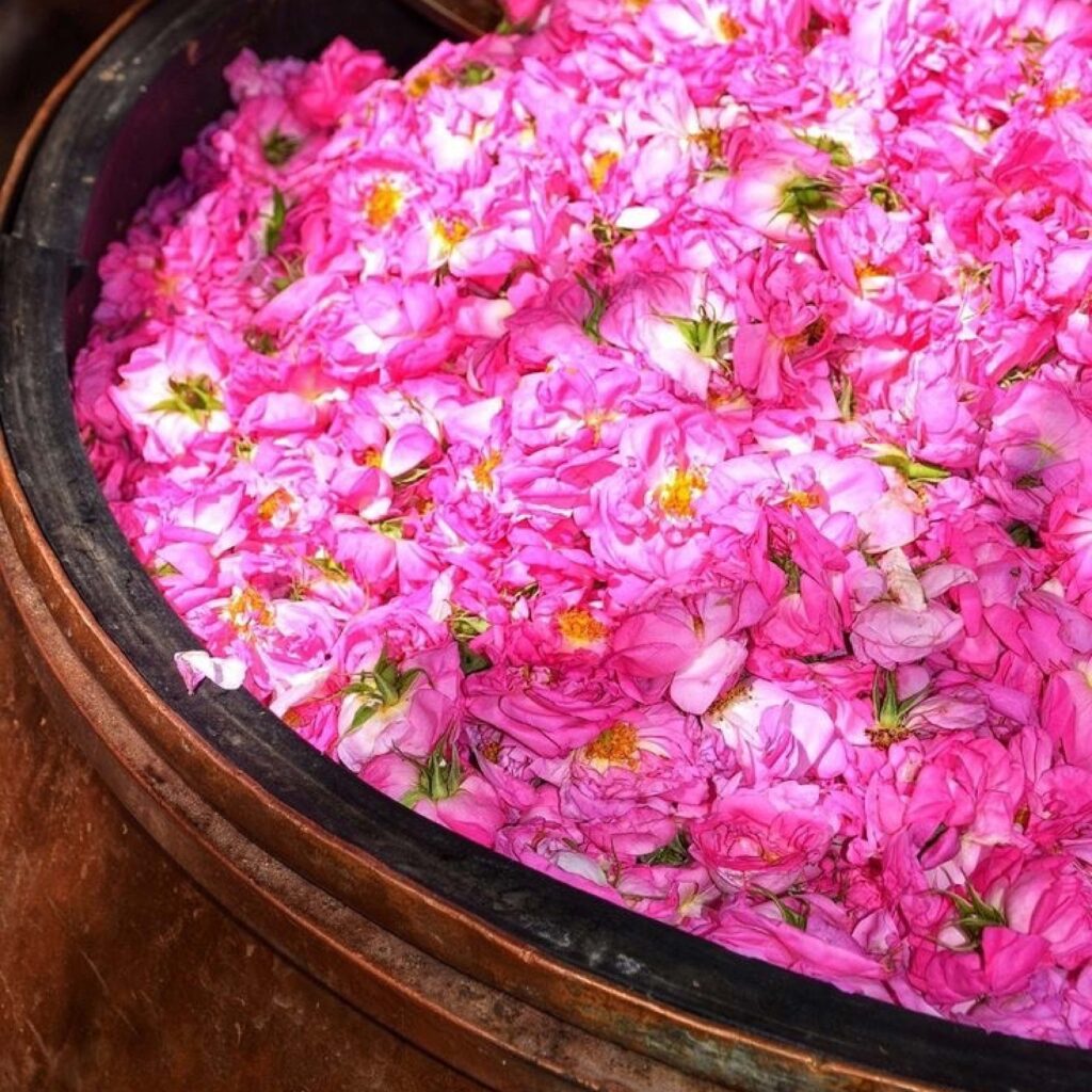 شاخص-کاشان